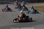 DSC_0020 (3)